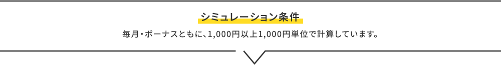 シミュレーション条件、毎月・ボーナスともに、1,000円以上1,000円単位で計算しています。