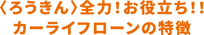 〈ろうきん〉全力!お役立ち!!カーライフローンの特徴